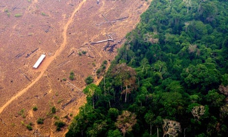 An aerial view of a deforested and burning area of the Amazon rainforest in the region of Labrea, state of Amazonas, northern Brazil.