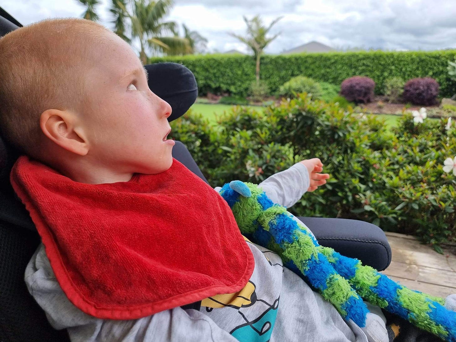 A young boy is in a wheelchair. He is looking out to the garden. He is wearing a bright red bib and holding a green and blue stuffed toy