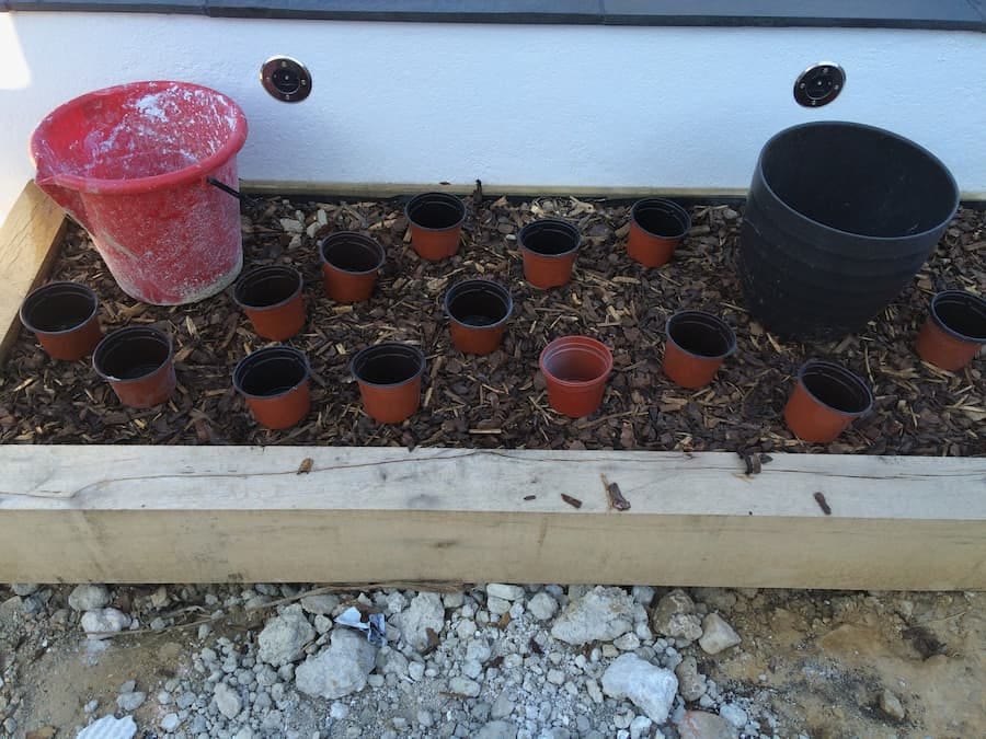 plant pots arranged in the border to work out number of plants needed