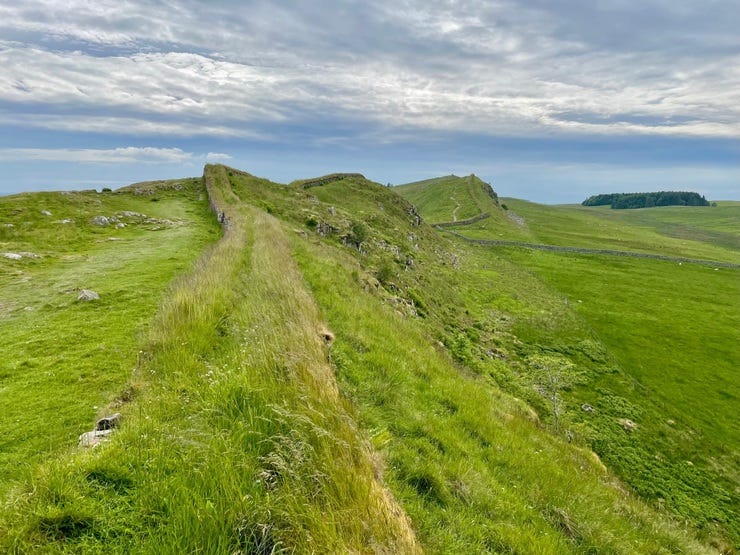 Hadrian's Wall, more or less rewilded by 1900 years of passing time.