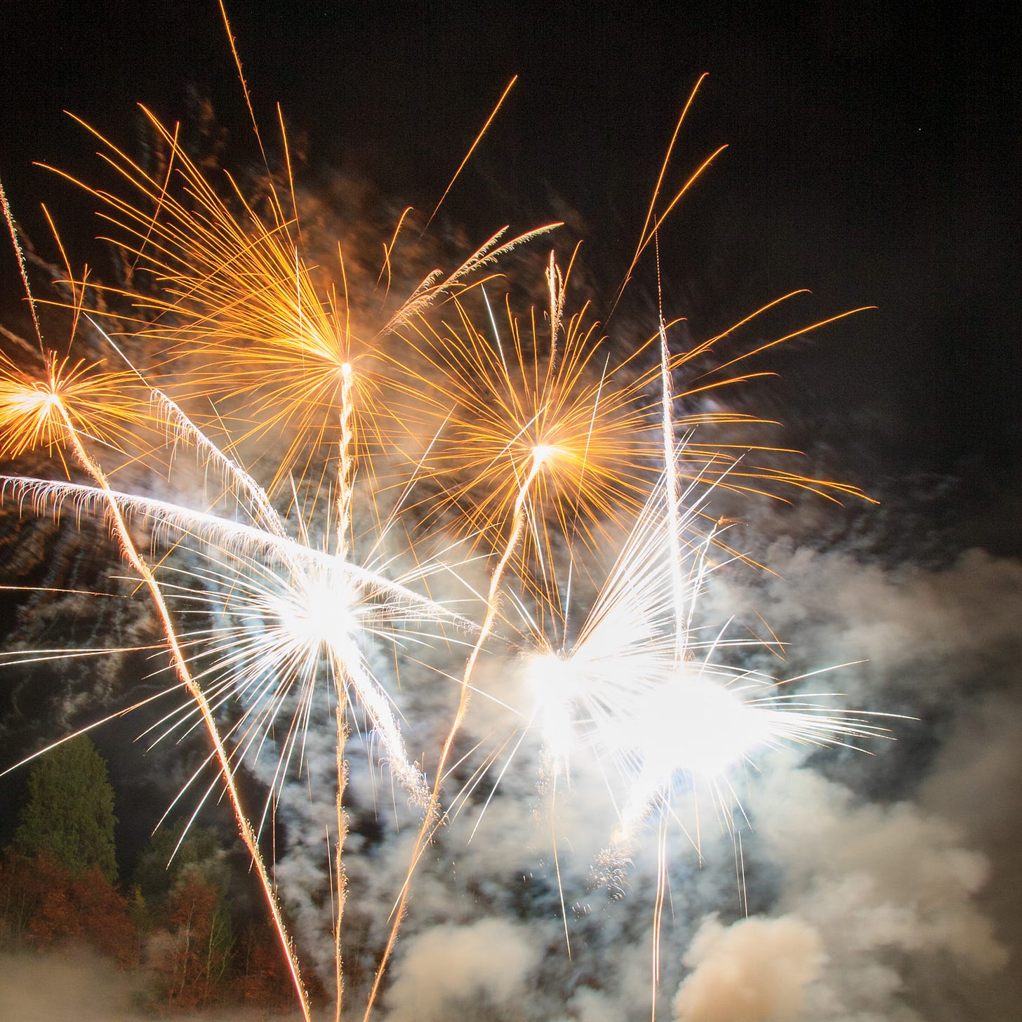 Gold and white fireworks  © Felicity Martin
