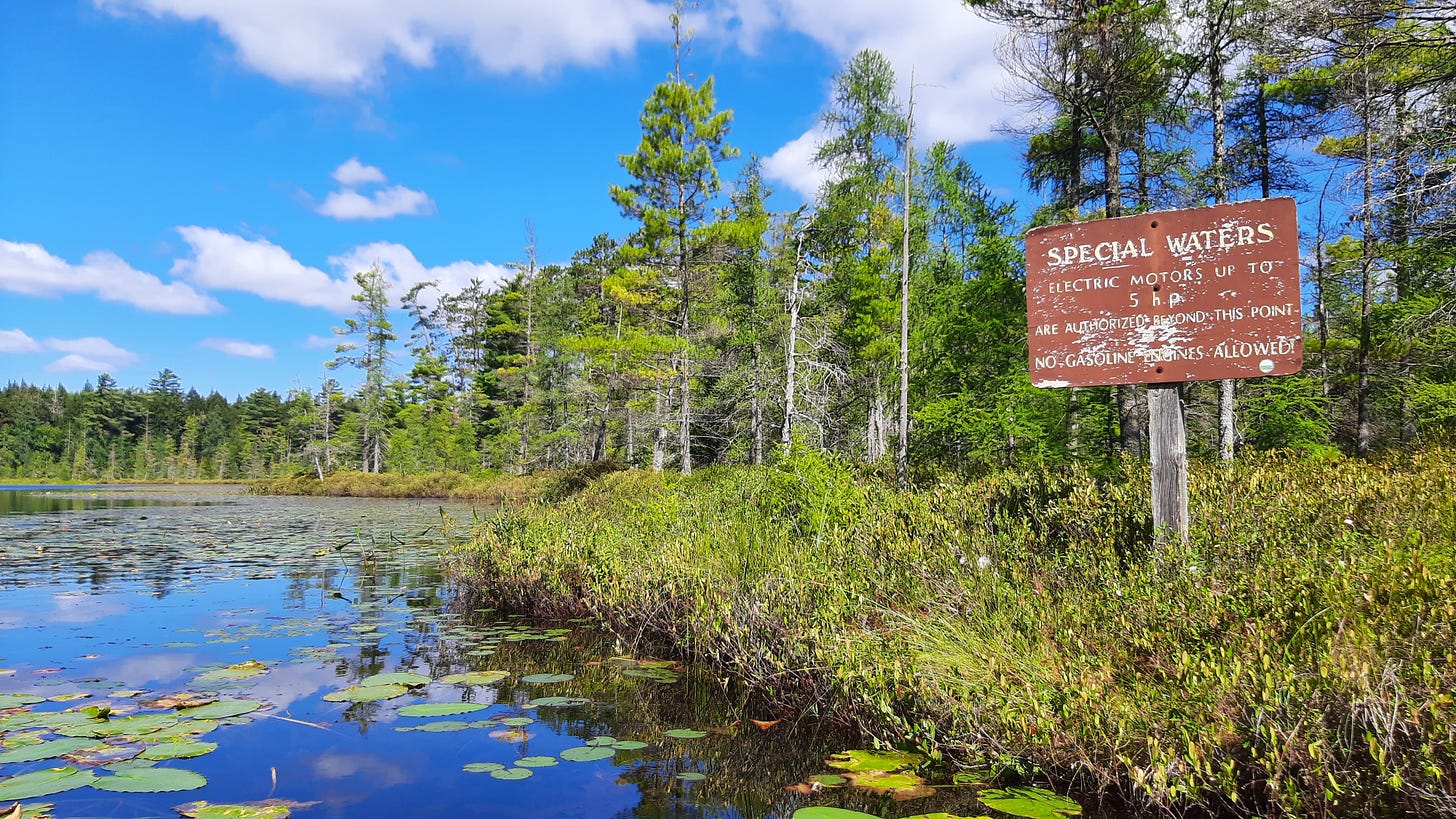 an old and worn brown sign says "special waters" on the bank of Fish Creek with green trees and lily pads, a bright blue sky reflected in the water and fluffy white clouds