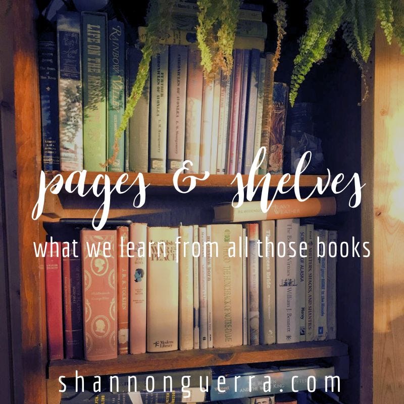 pages and shelves: what we learn from all those books