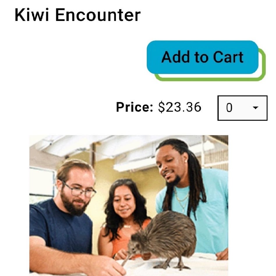 Kiwi encounter on Miami Zoo website 
