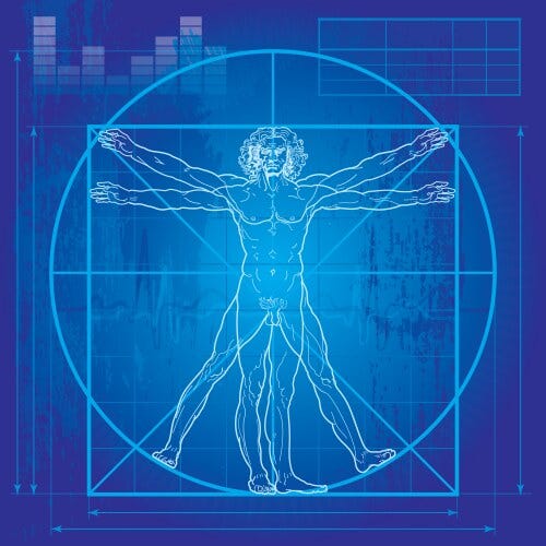 Body Blueprint Vector Images (over 940) Body Blueprint Vector Images (over 940)