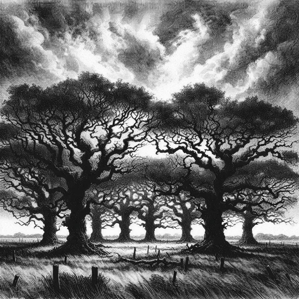 The Strange But True Story of the Witches' Circle, Paul Brown