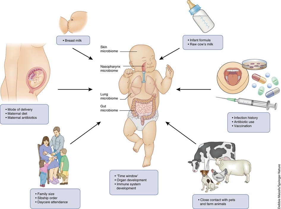 The immunology of the allergy epidemic and the hygiene hypothesis | Nature  Immunology