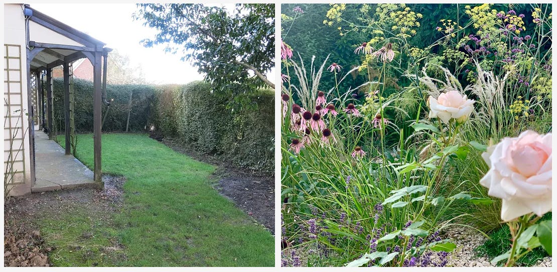 pretty cottage plants