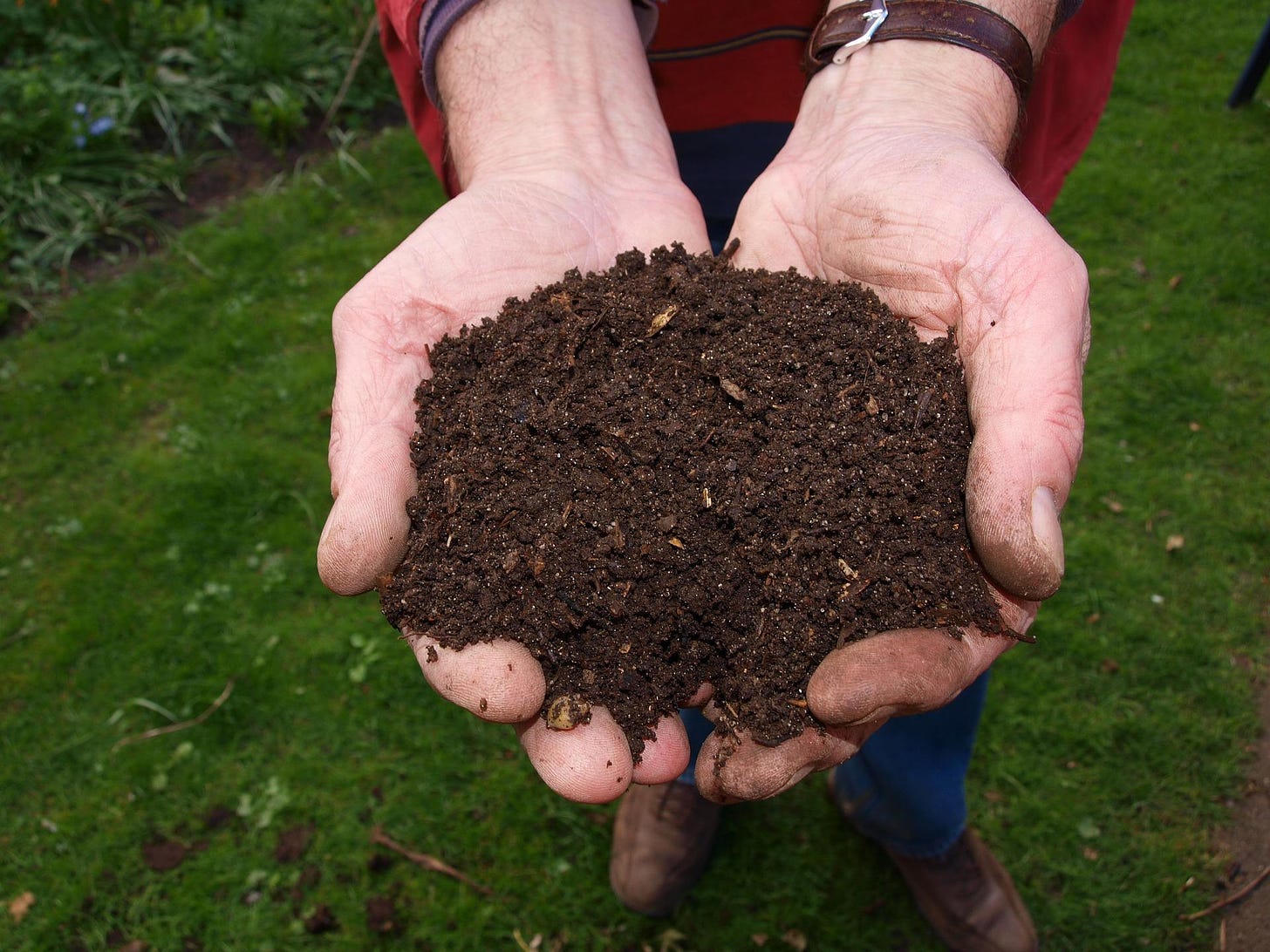 Add organic matter to improve garden soils | OSU Extension Service