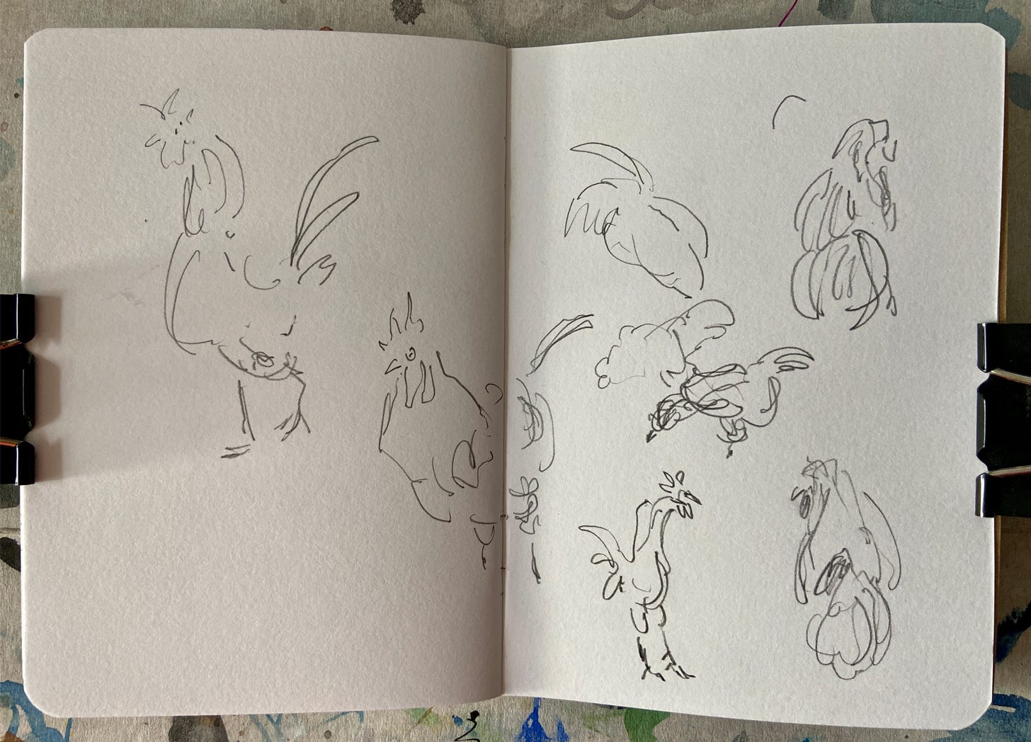 An open sketchbook with quickly drawn images of a rooster in a farmyard