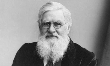 Alfred Russel Wallace, the forgotten man of evolution, gets his moment |  Evolution | The Guardian