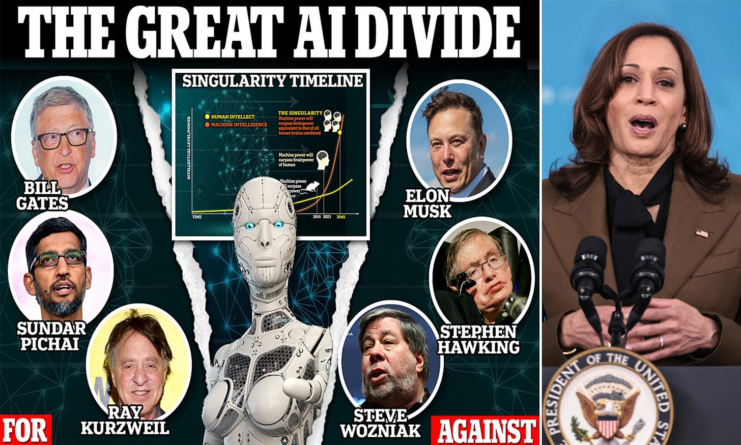 White House lays out its AI damage control plan - and KAMALA HARRIS will be  program's czar | Daily Mail Online