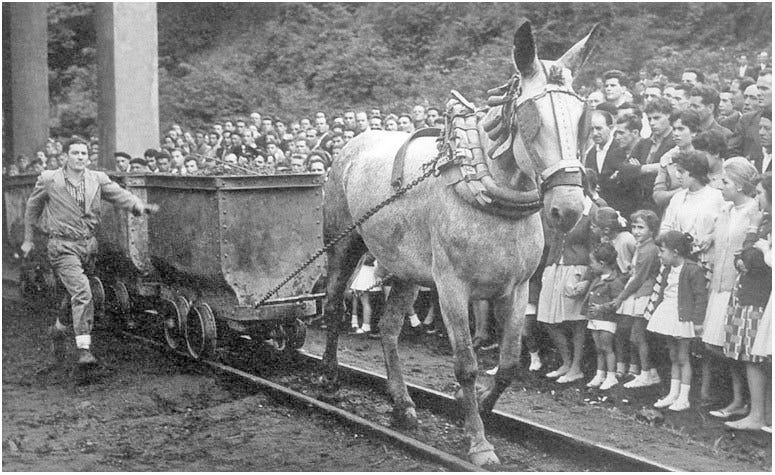 Mi güelu fue⚒ ...Caballista: la importancia de los animales de tiro y su  huella en nuestra historia minera - Montepío y Mutualidad de la Minería  Asturiana