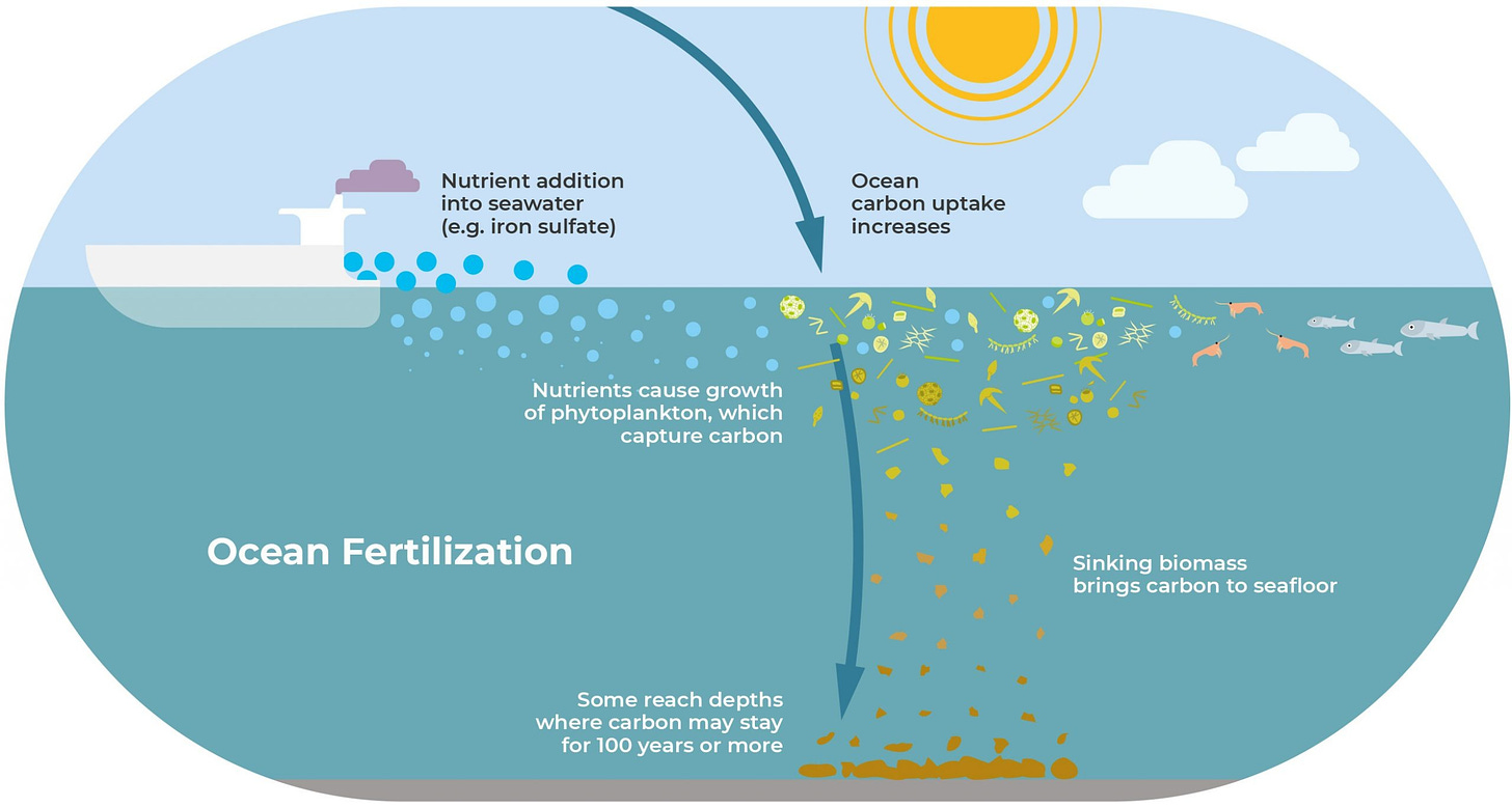 Ocean fertilization – OceanNETs