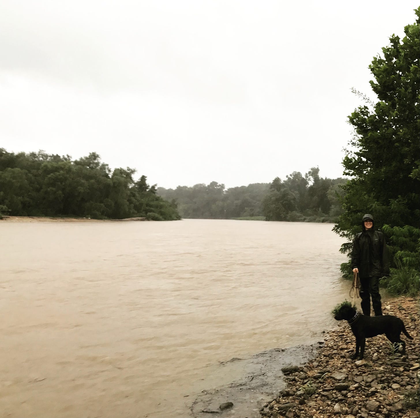 Woman in rain gear with black dog along flooded river