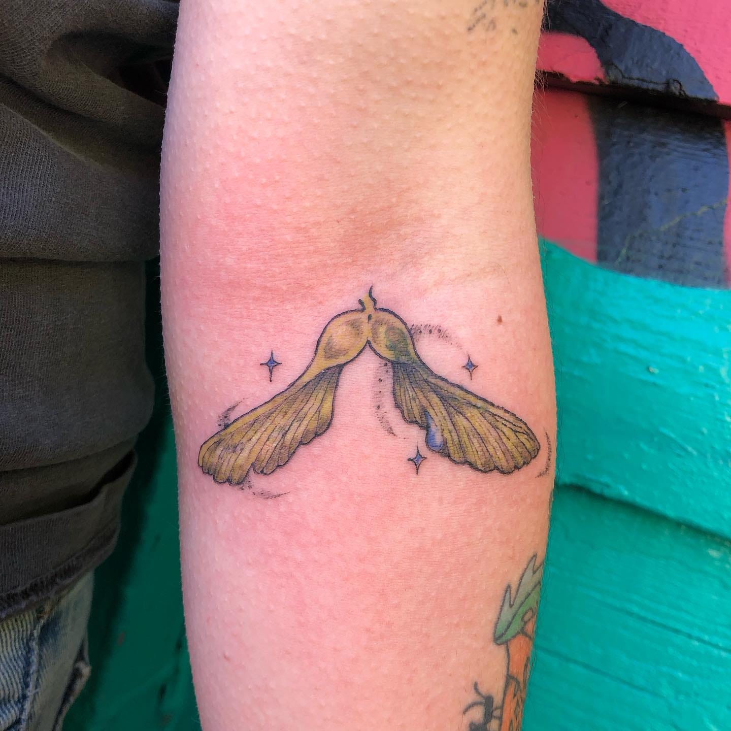 a tattoo on madelines arm of a little seed copter right up near the ditch of their arm they have a light warm skin tone and the tattoo is lined in black and coloured in avocado green with blue accents