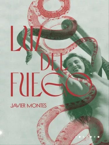 Luz Del Fuego, De Montes, Javier. Fósforo Editora, Capa Mole Em Português |  MercadoLivre