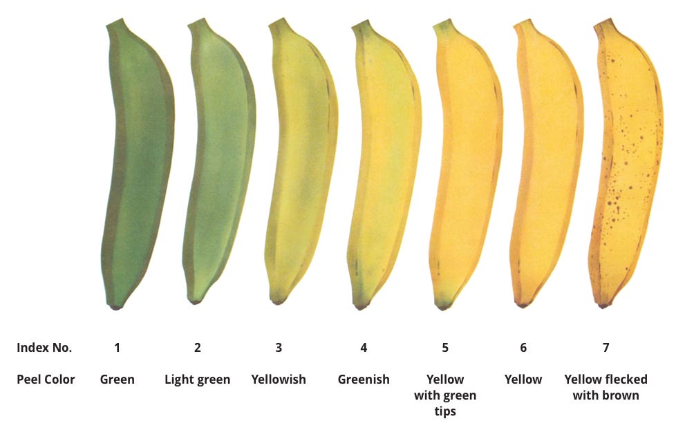 Banana Buying Guide: Stages, Anatomy, Color Chart | US Foods