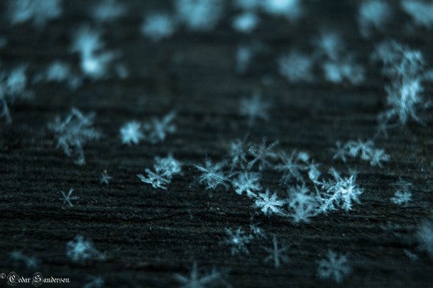 snowflakes