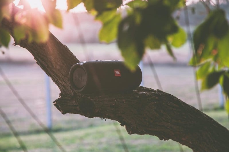 Bluetooth Speaker in a tree