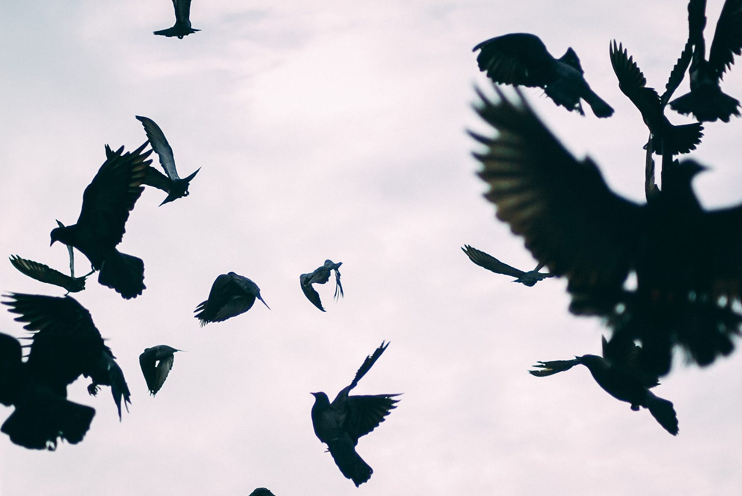 OCD Shot Stories: Moods, friends outings all gatherings do not work