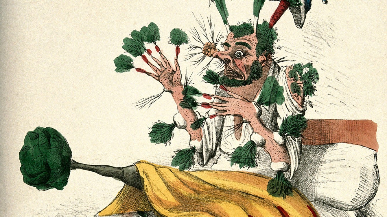 Graphic Battles of Pharmacy: 19th-Century Medicine Confronts Quackery ...