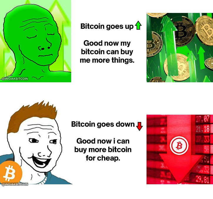 Wojak Bitcoin Memes on X: "Good, now i can buy more Bitcoin for a cheaper  price. https://t.co/Lfi8fstWJA" / X