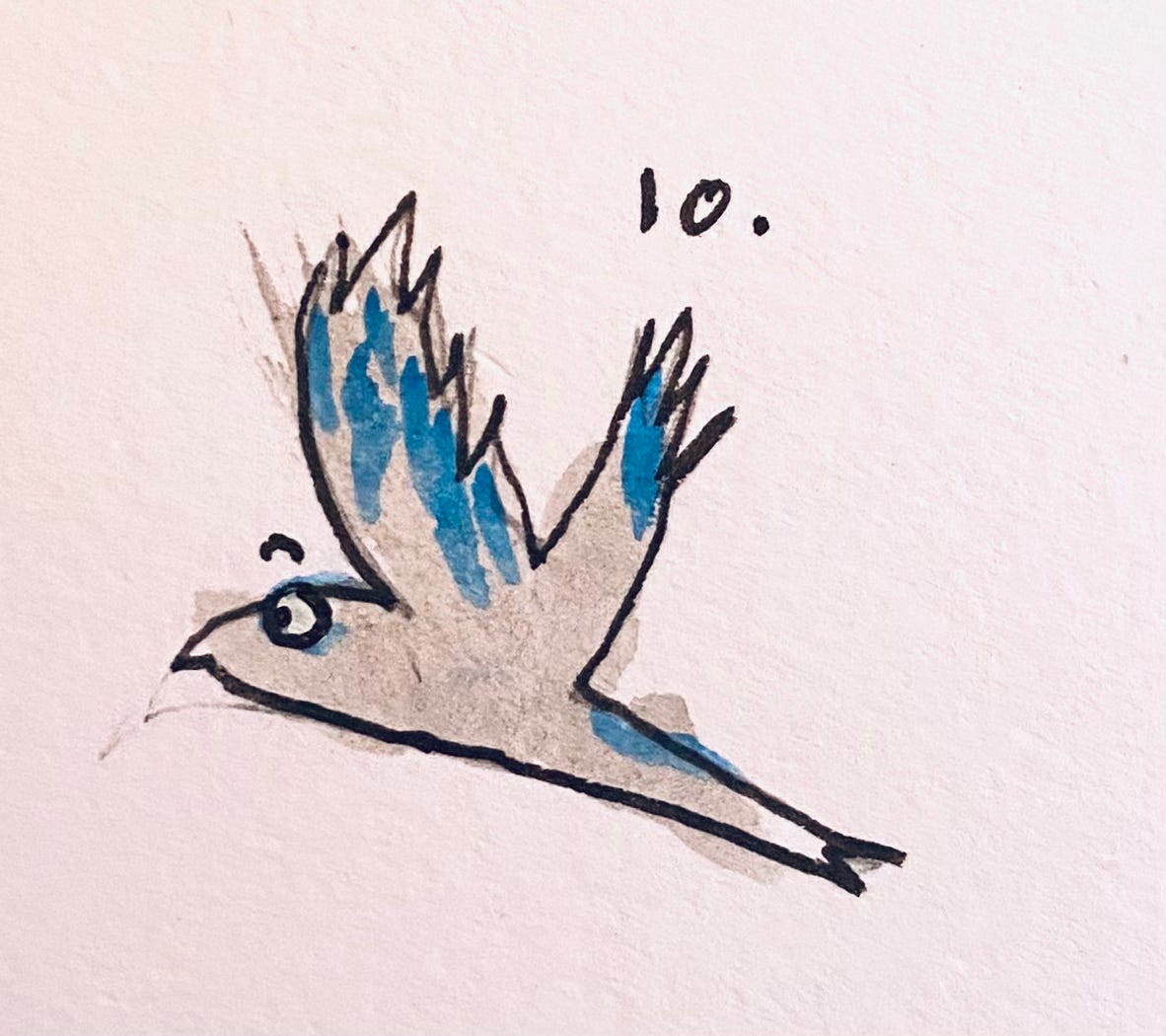 thirteen ways of looking at a blackbird wallace stevens