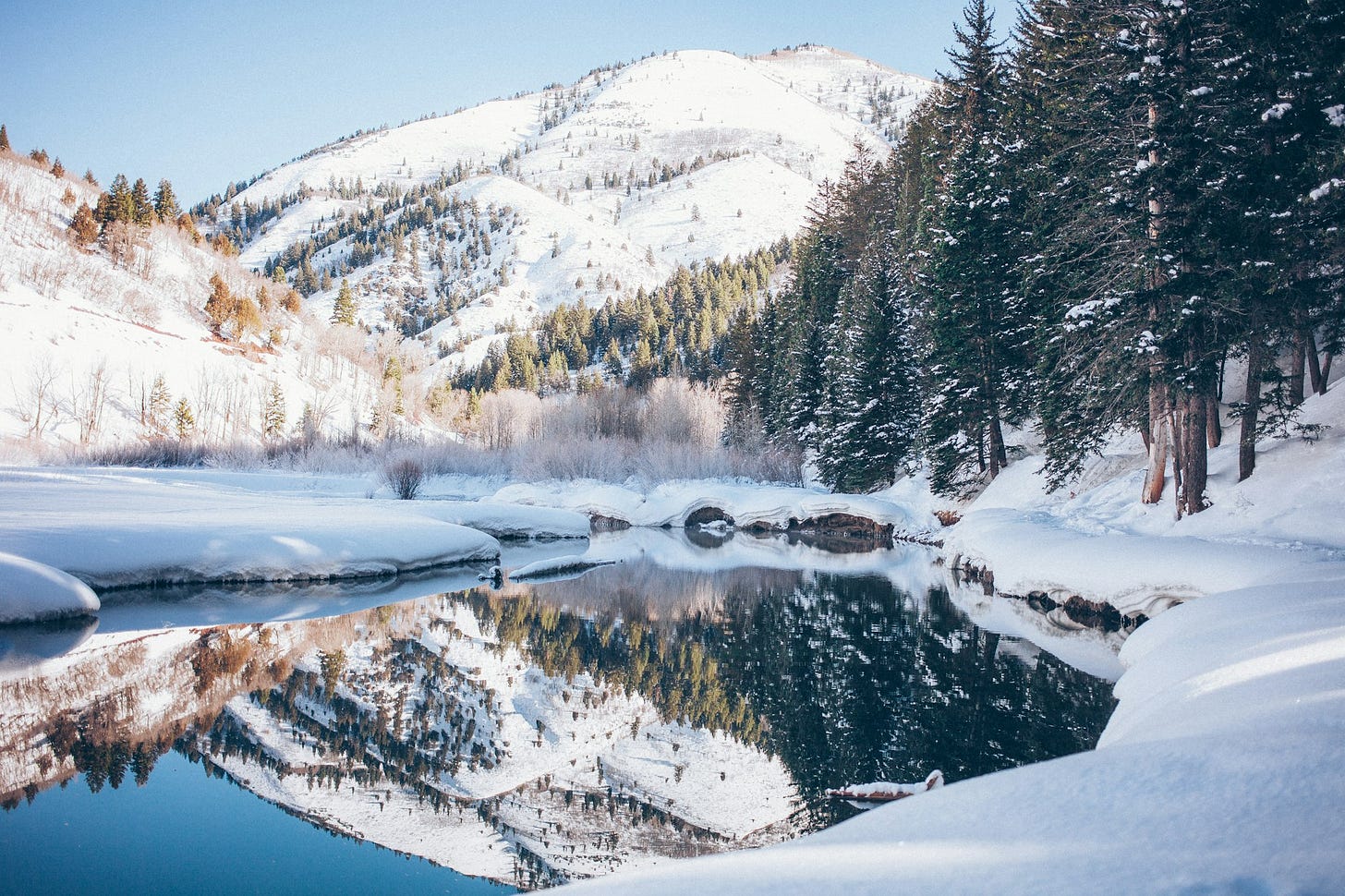 A Functional Medicine Approach to Seasonal Affective Disorder (SAD) Treatment and Management A Functional Medicine Approach to Seasonal Affective Disorder (SAD) Treatment and Management