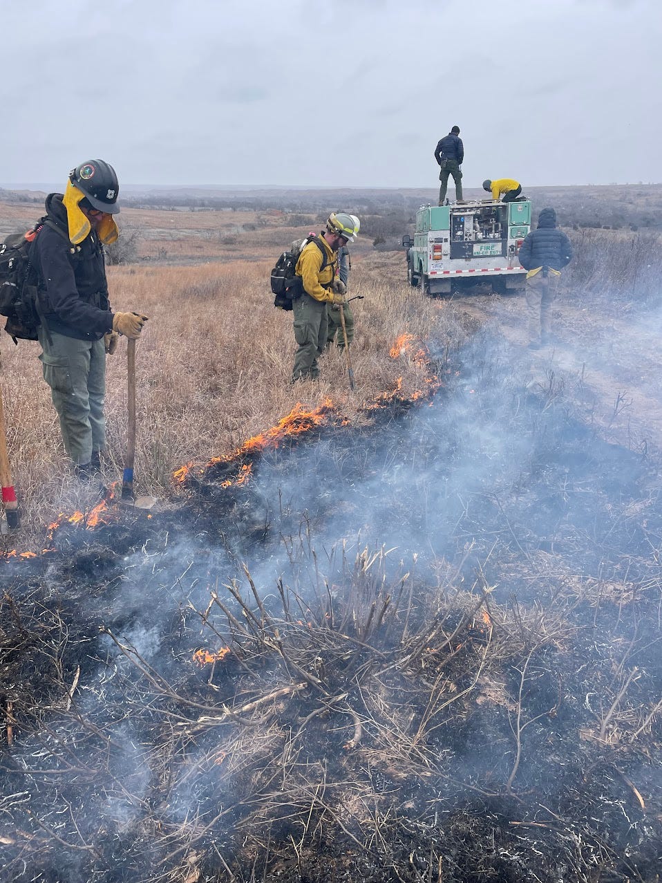 Several firefighters look down at burning grasses while other firefighters in the background do stuff on top of a fire engine.