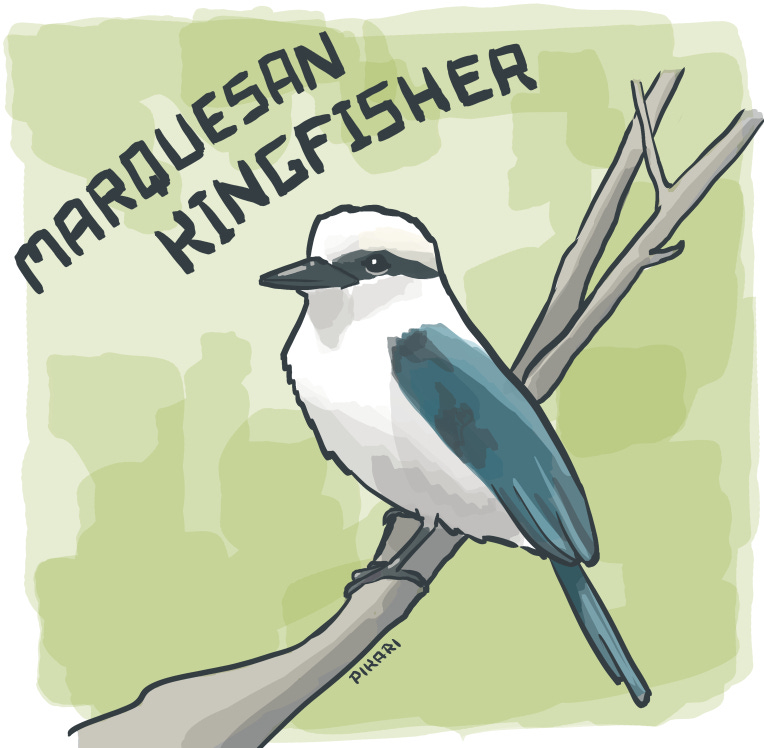 Digital illustration of a kingfisher bird on a branch. He is mostly white, with a medium-sized beak, a black stripe across his eyes, and black feet. He has bright teal-to-royal blue wings, back, and tail.