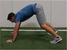 GrowFit Physical Education Curriculum