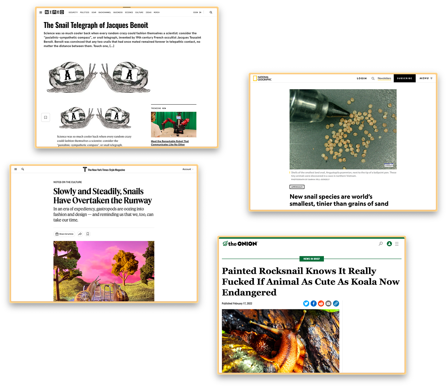 four screenshots of snail-themed stories on various news organizations' websites. they are all pretty similar in design: image, then headline, or headline, then image