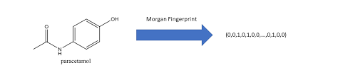 Molecular Fingerprint. A molecular ...