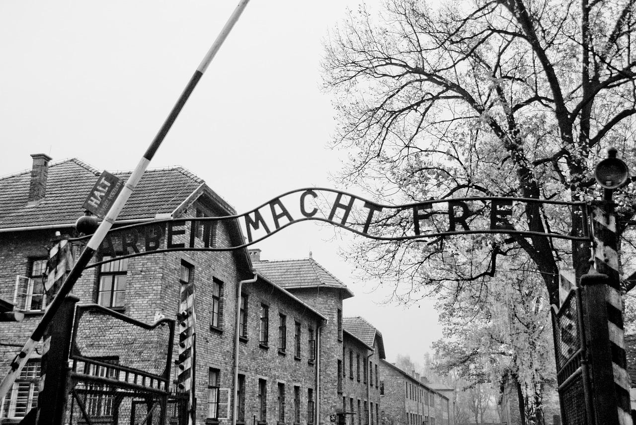 auschwitz,gate,holocaust,poland,concentration,camp,war,prison,history,death,wire,fence,memorial,barbwire,oswiecim,barbed,jew,jail,jewish,murder,extermination,entrance,ww2,free pictures, free photos, free images, royalty free, free illustrations, public domain