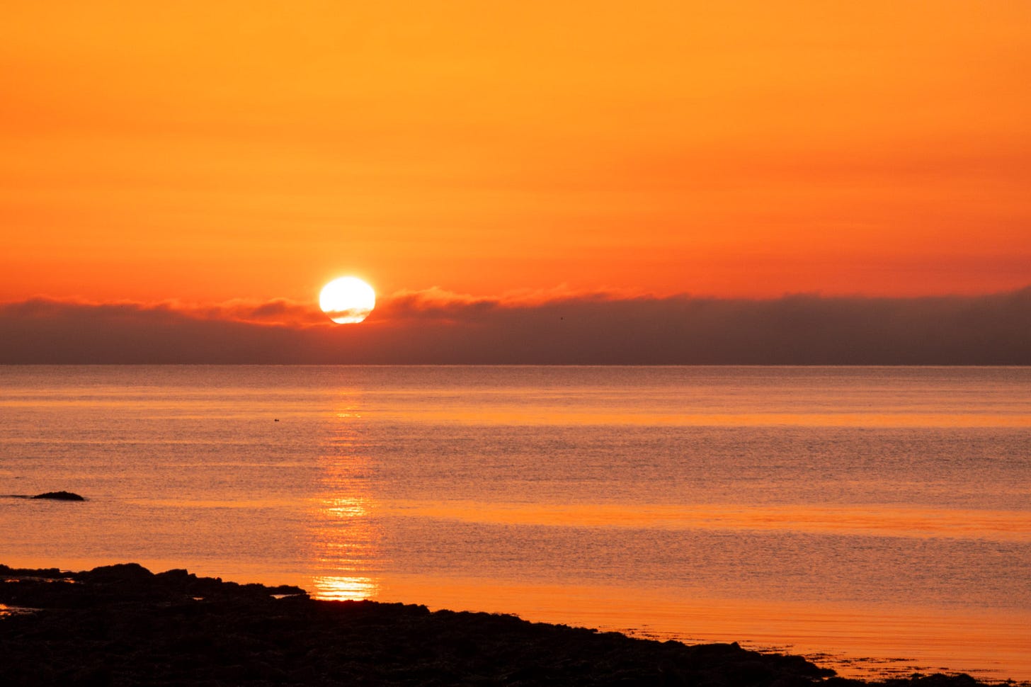 Sunrise from Balintore, Easter Ross © Felicity Martin