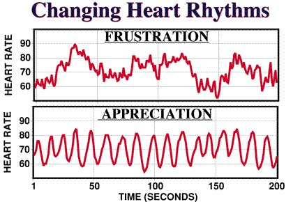 What is Heart Rate Variability Training?