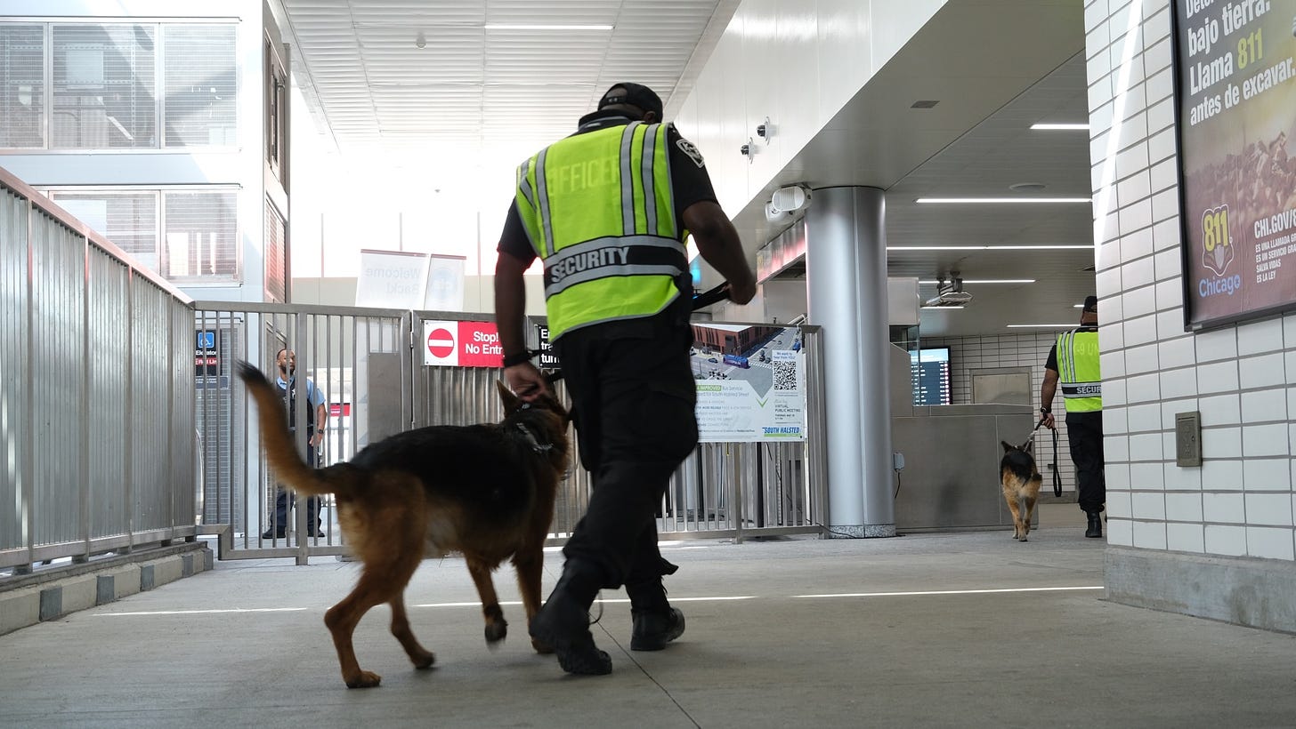 Chicago Transit Authority Deploys New Canine Teams - HS Today