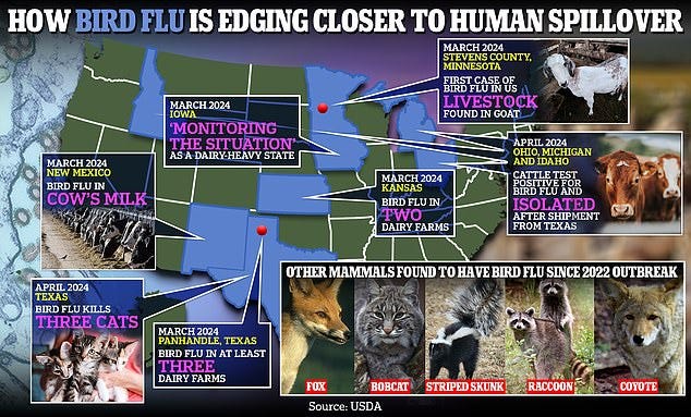 The above shows how bird flu is edging closer to human spillover in the US