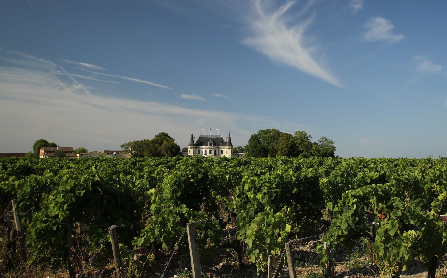 Boring but immaculately farmed biodynamic vineyards at Chateau Palmer, Margaux, Bordeaux.