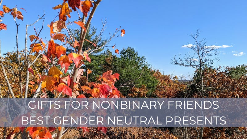 Gifts for Nonbinary Friends - Best Gender Neutral Presents