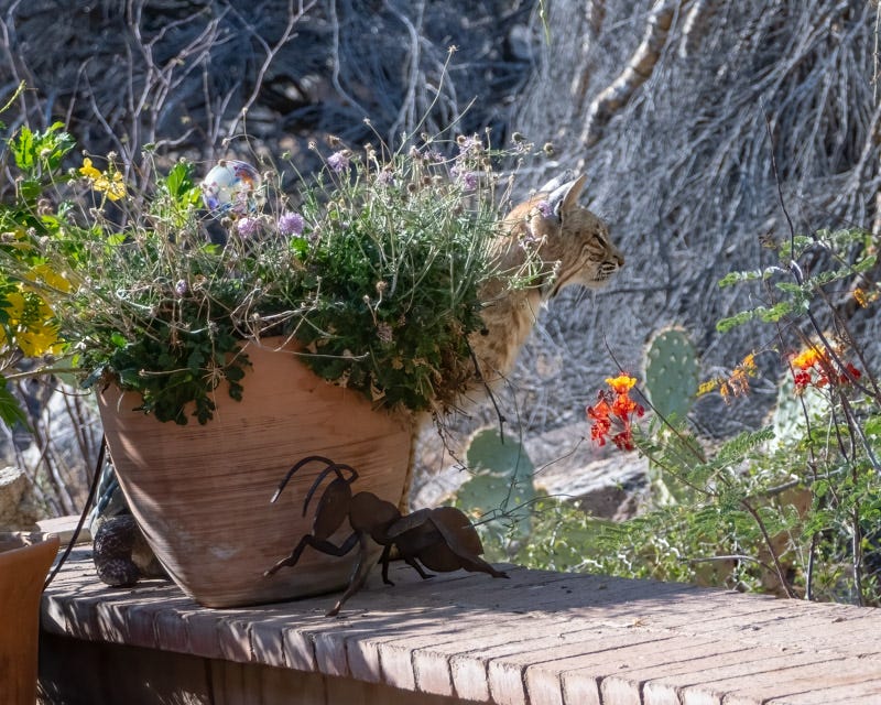20240612-mby-105-Edit.jpg