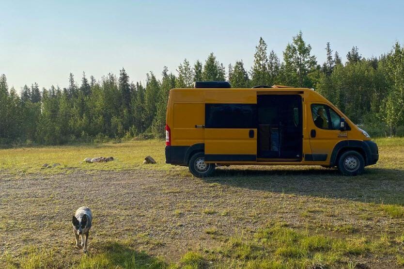 Scout the blue heeler walks towards the camera, to the left of a yellow Ram Promaster converted van in the background in a grassy clearing