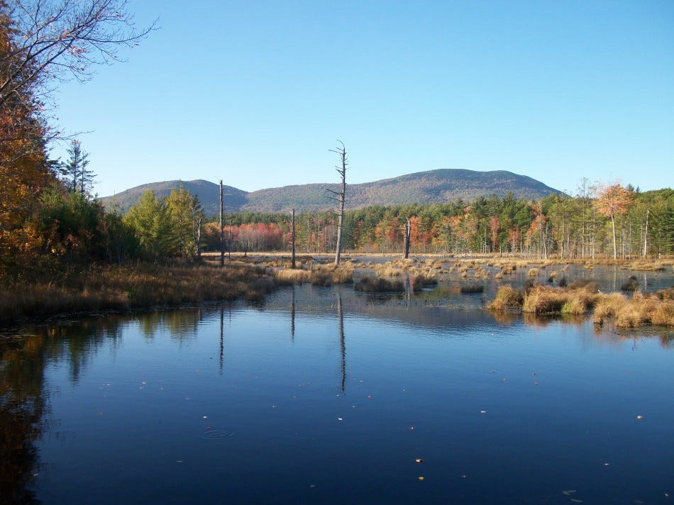 blue pond