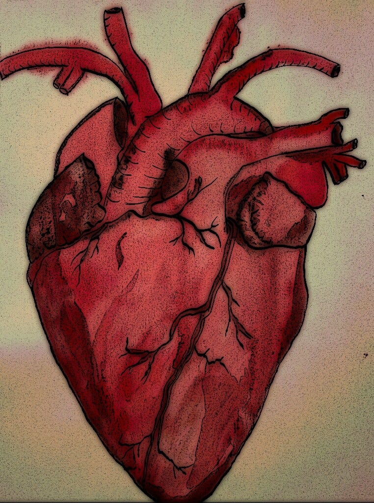 Human heart