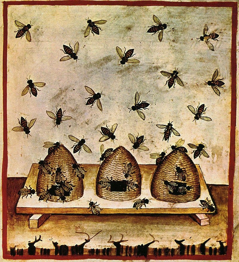 A swarm of busy bees fly above some hives.