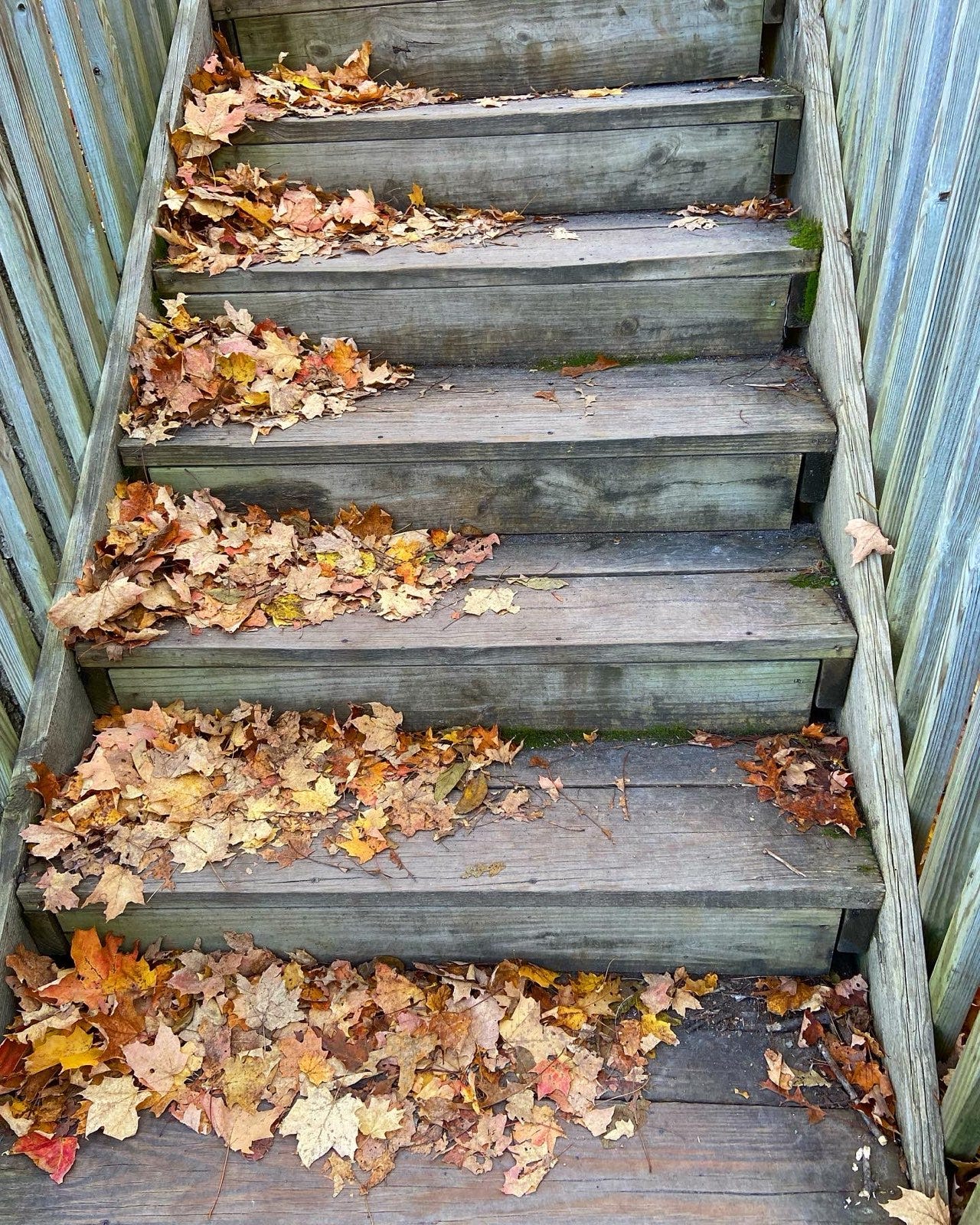 Image: Fall leaves on a wooden staircase
