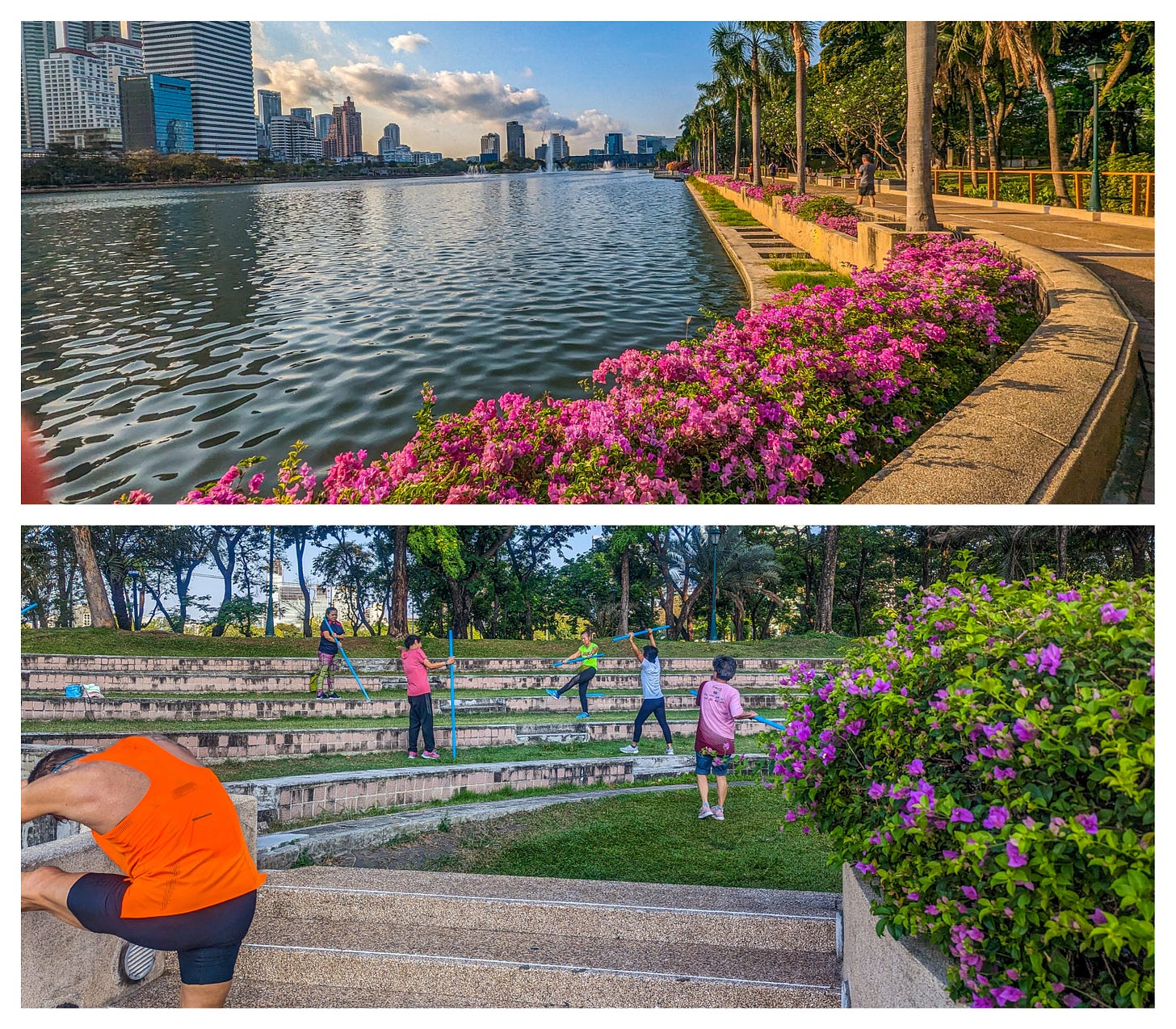 Top photo shows the lake at the park. Purple flowers are in the foreground, tall buildings in the back. Bottom phot shows people exercising. 