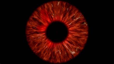 The Red Eye Is Extreme Close-up Of Iris Stock Footage SBV-333869391 ...