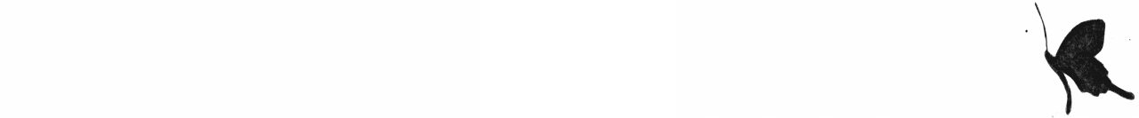 Hand-drawn illustration of a small black butterfly in flight, simple and silhouetted.